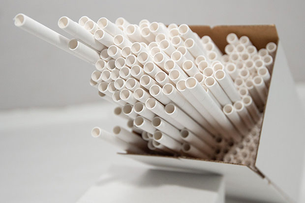 The Paper Straw Co