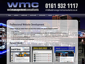 Web Management Consultants